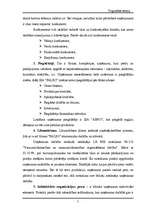 Referāts 'Uzņēmums “Paleo”', 5.