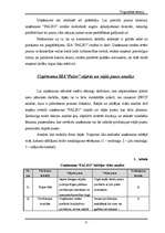 Referāts 'Uzņēmums “Paleo”', 8.