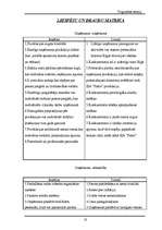 Referāts 'Uzņēmums “Paleo”', 13.