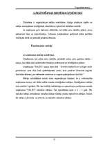 Referāts 'Uzņēmums “Paleo”', 15.