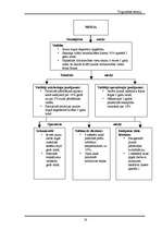 Referāts 'Uzņēmums “Paleo”', 16.