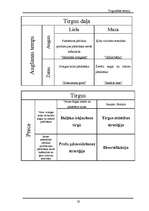 Referāts 'Uzņēmums “Paleo”', 22.