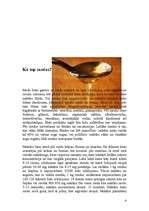 Referāts 'Medus izmantošana kosmetoloģijā', 4.