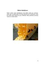 Referāts 'Medus izmantošana kosmetoloģijā', 10.