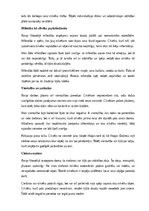 Eseja 'Mani saistošais Raiņa filosofijā', 5.