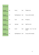 Referāts 'Šokolāde', 13.