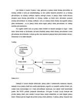 Konspekts 'Fiduciāri darījumi', 22.