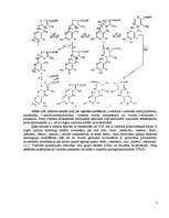 Referāts 'Vitamīns B1 - tiamīns', 5.