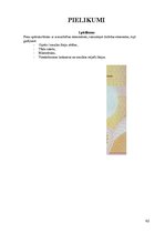 Diplomdarbs 'Kriminālatbildība par dokumentu viltošanu', 62.