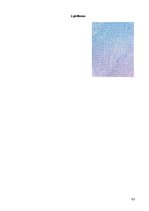 Diplomdarbs 'Kriminālatbildība par dokumentu viltošanu', 63.