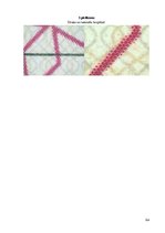 Diplomdarbs 'Kriminālatbildība par dokumentu viltošanu', 64.