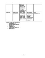 Referāts '2010.gada 21.martā Islandē notikušā vulkāna izvirduma atspoguļojums Latvijas lie', 14.