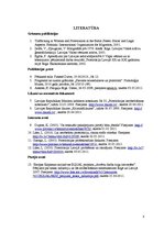 Referāts 'Prostitūcija kā uzņēmējdarbības veids', 8.