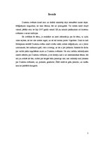 Referāts 'Dziesmu svētku tradīcijas', 3.