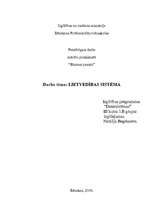 Referāts 'Lietvedības sistēma', 1.