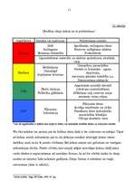 Referāts 'Darba aizsardzības organizēšana uzņēmumā', 11.
