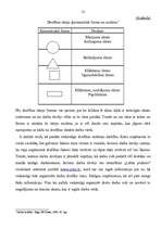 Referāts 'Darba aizsardzības organizēšana uzņēmumā', 12.