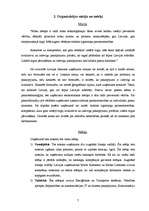 Referāts 'SIA "Siemens" vadības projekts', 7.