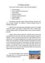 Referāts 'SIA "Siemens" vadības projekts', 19.