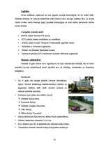 Referāts 'SIA "Siemens" vadības projekts', 30.