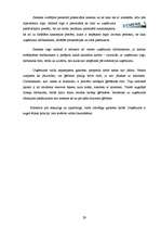 Referāts 'SIA "Siemens" vadības projekts', 31.