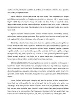 Referāts 'Agrie viduslaiki', 11.