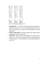 Referāts 'Apakšstilba un potītes biežākie lūzumi. Pirmā palīdzība apakšstilba lūzuma gadīj', 7.