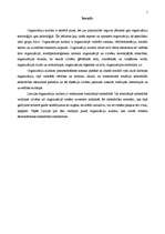 Referāts 'Organizācijas kultūra', 1.