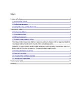 Biznesa plāns 'Uzņēmuma "X" atvēršanas iespējas Rīgā', 1.