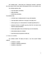 Biznesa plāns 'Uzņēmuma "X" atvēršanas iespējas Rīgā', 8.