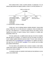 Biznesa plāns 'Uzņēmuma "X" atvēršanas iespējas Rīgā', 12.