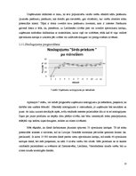 Biznesa plāns 'Uzņēmuma "X" atvēršanas iespējas Rīgā', 13.