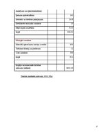 Biznesa plāns 'Uzņēmuma "X" atvēršanas iespējas Rīgā', 17.