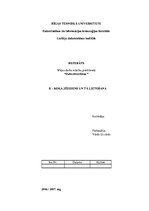 Referāts 'B - koka jēdziens un tā lietošana', 1.