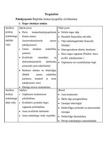 Konspekts 'Tirgus situācijas analīze. Digitālās drukas tipogrāfija', 1.