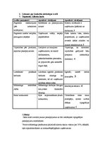 Konspekts 'Tirgus situācijas analīze. Digitālās drukas tipogrāfija', 2.