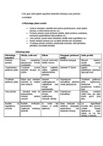Konspekts 'Tirgus situācijas analīze. Digitālās drukas tipogrāfija', 3.