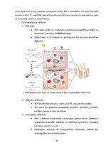 Referāts 'Oksidatīvā stresa iedarbība uz priekšlaicīgu ādas novecošanos', 21.