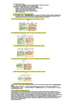 Konspekts 'Vadības teorijas eksāmena atbildes', 6.