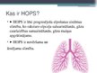 Prezentācija 'Hroniska obstruktīva plaušu slimība', 2.