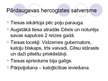 Prezentācija 'Pārdaugavas hercogiste', 6.