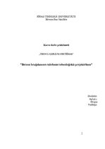 Referāts 'Betona bruģakmens ražošanas tehnoloģiskā projektēšana', 1.