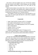 Referāts 'Betona bruģakmens ražošanas tehnoloģiskā projektēšana', 4.