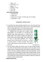 Referāts 'Betona bruģakmens ražošanas tehnoloģiskā projektēšana', 5.