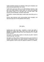 Konspekts 'Organoīdu funkcijas, vienšūņu raksturojums', 4.