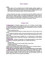 Referāts 'Atmiņa', 3.