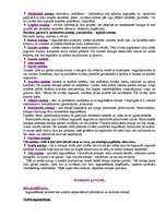 Referāts 'Atmiņa', 4.