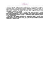 Referāts 'Atmiņa', 7.