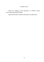 Prakses atskaite 'Prakses atskaite cilvēka ģeogrāfijā - Zolitūde', 18.