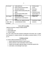 Prakses atskaite 'Prakses atskaite SIA "XXX"', 17.